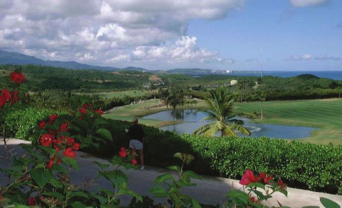 Alisgolf internacional Alisgolf internacional