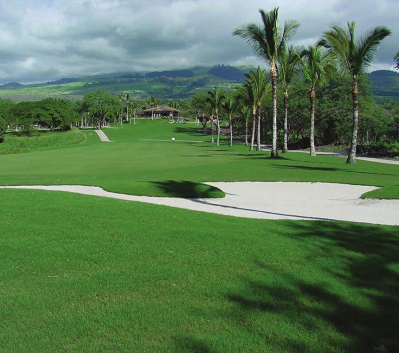 HOTEL HASDRUBAL THALASSA HOTEL HASDRUBAL THALASSA