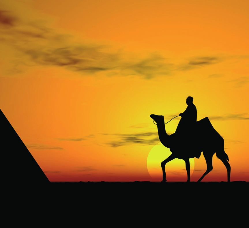 MARITIM ROYAL PENINSULA HOTEL & RESORT MARITIM ROYAL PENINSULA HOTEL & RESORT