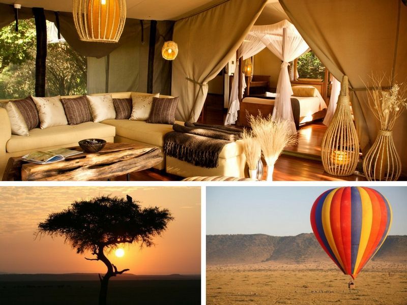 Mara Intrepids Mara Intrepids